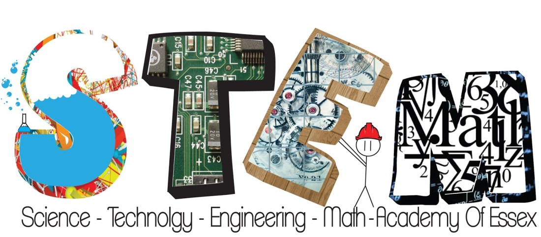 Image result for stem strand